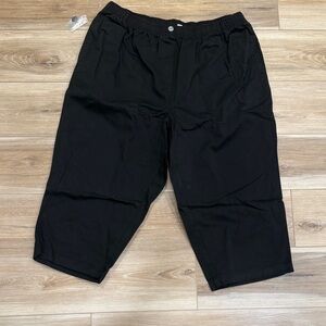 Woman Within Black Cropped Pants